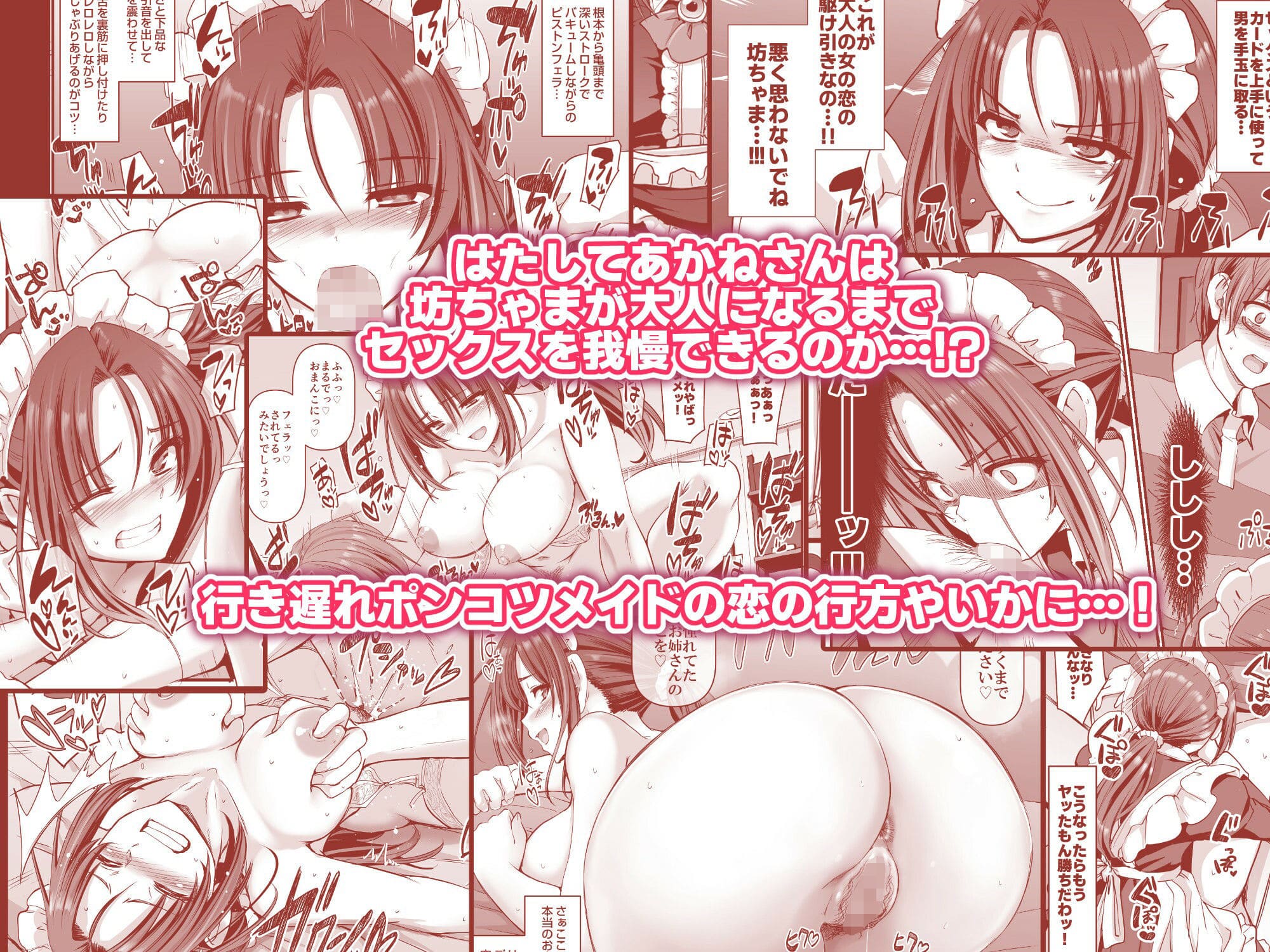 28歳独身メイドのドジでエッチな日常をコミカルに描写した同人誌