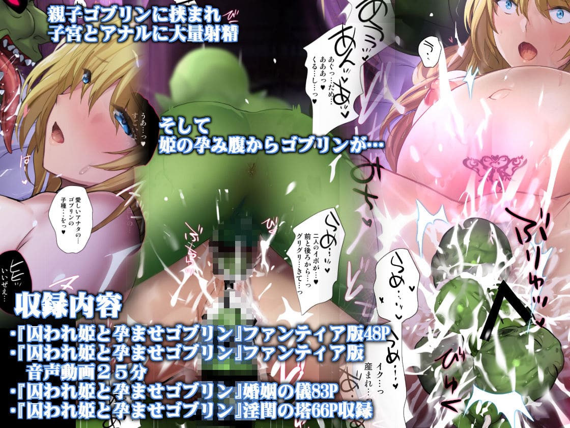 囚われ姫と孕ませゴブリン 斬鬼楼